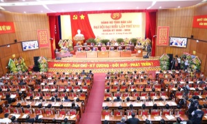 Đại hội đại biểu Đảng bộ tỉnh Đắk Lắk khóa XVII, nhiệm kỳ 2020-2025